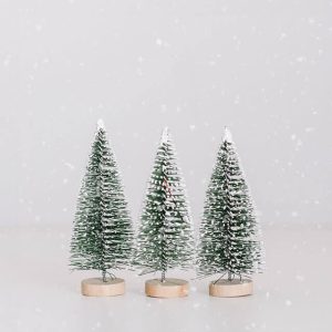 Enchanted Evergreens Collection