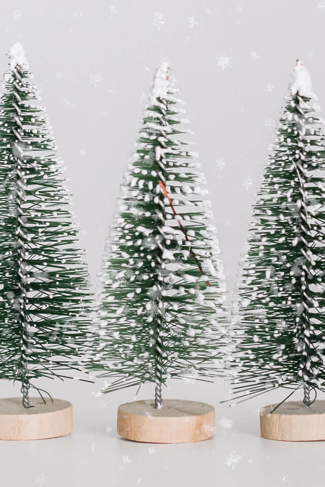Enchanted Evergreens Collection - Image 3